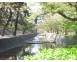 夙川