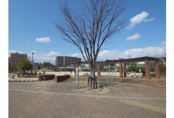 近くの森具公園です