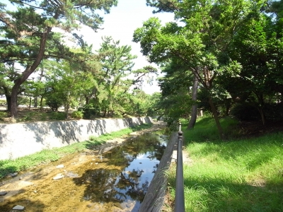 夙川が近く！初夏の緑がきれいな季節になりました
