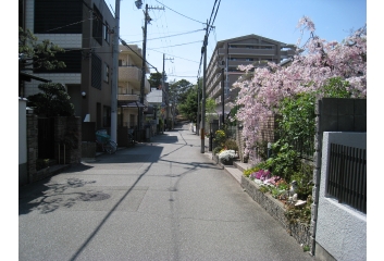 前面道路突き当りは夙川公園！とても雰囲気の良い場所です
