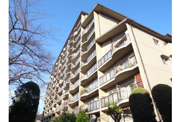 11階建ての5階部分です