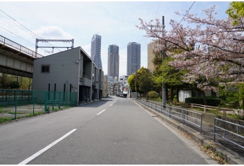 前面道路広々約11ｍ！目の前は波除公園で開放感あり！