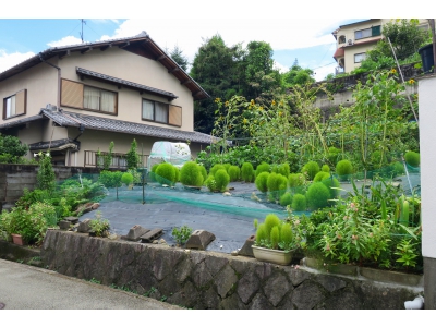 建築条件はございません!