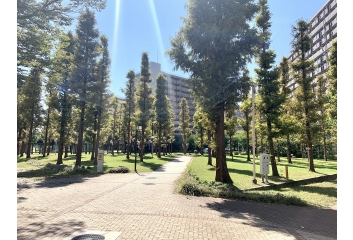 木材の広場