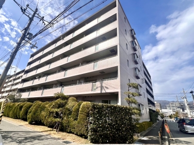 外観（南東側から撮影）